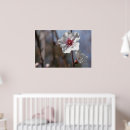 Suche nach die mandel poster Natur