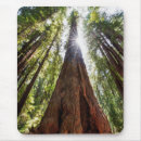 Suche nach mammutbaum mousepads Wälder