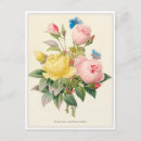 Suche nach durch pierre joseph redoute postkarten Rose