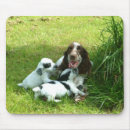 Suche nach cocker spaniel mousepads Welpe