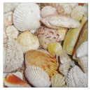 Suche nach strand muscheln fliesen Tropisch