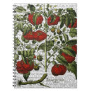 Suche nach gemüse kleine notizbücher Tomaten