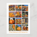 Suche nach kürbise postkarten Halloween