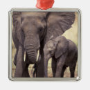 Suche nach afrikanischer elefant ornamente Fauna