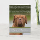 Suche nach dogue karten Mastiff