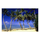 Suche nach cook islands poster Abgelegen