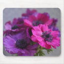Suche nach anemone mousepads Blüte