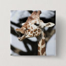 Suche nach fauna buttons Wildtiere
