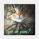 Suche nach schnurren Kitteh