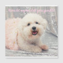 Suche nach bichon magnete Durchsuchen