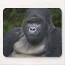 Suche nach berggorilla mousepads Afrika