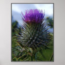 Suche nach multi region Flora