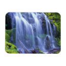 Suche nach kaskade magnete Wald