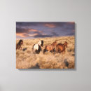 Suche nach mustangs leinwandbilder Pferd