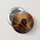 Suche nach tibetische buttons Hund