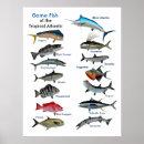 Suche nach tropical fish poster Meer