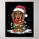 Suche nach hässlichster hund poster Um den weihnachtsbaum herumstolpern