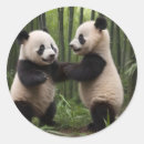 Suche nach pandas aufkleber Bamboo