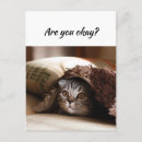 Suche nach funny cat postkarten Wortspiel
