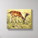 Suche nach wilds poster leinwandbilder Wildtier
