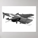 Suche nach meeressäugetiere poster Ozean