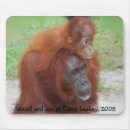 Suche nach großer affe mousepads Tiere