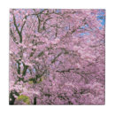 Suche nach kirschblüte fliesen Jede person