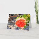Suche nach orange rose karten Jede person