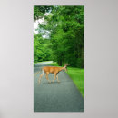 Suche nach buckel poster Hirsche