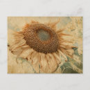Suche nach gelbe sonnenblumen postkarten Rustikal