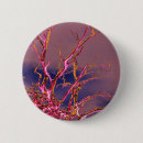 Suche nach alter baum buttons Bäume