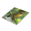 Suche nach colorful fliesen Vogelvogel