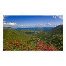 Suche nach tropen poster Natur