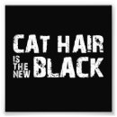 Suche nach verrückte katze poster Miezekatze
