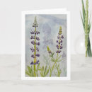 Suche nach lupine karten Jede person