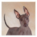 Suche nach doge poster Portrait