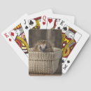 Suche nach igel spielkarten Säugetier