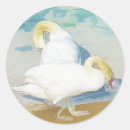Suche nach cygnet aufkleber Schwäne