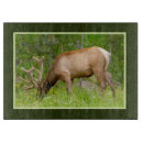 Suche nach elche schneidebrettchen Jagd
