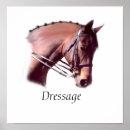 Suche nach dressage poster Dressur