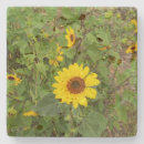 Suche nach winden untersetzer Blume