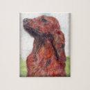 Suche nach irish setter puzzle Hund