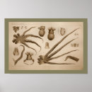 Suche nach tentakeln kunst Ozean