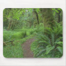 Suche nach ahorn mousepads Usa