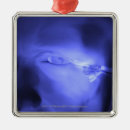 Suche nach transparent ornamente Teil