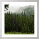 Suche nach fog Mountains