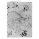 Suche nach studieren sie mich nicht postkarten Vogel