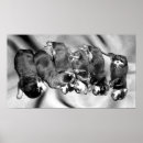 Suche nach rottweiler hund poster Lustig