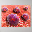 Suche nach zytologie poster Gesundheitswesen