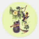 Suche nach audubon aufkleber Natur